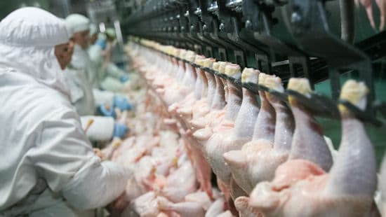 Ecolab P3 ürün ve uygulama örneği